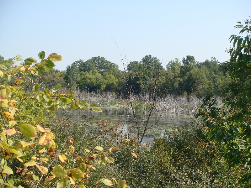 Western Michigan [2009] 368.JPG - Scenes from Frederik Meijer Gardens & Sculpture Park.